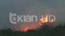 Emergjencat Civile: 8 vatra zjarri gjatë 24 orëve në 6 qarqe