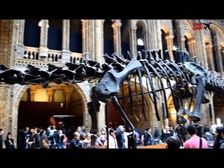 Natural History Museum London_x264