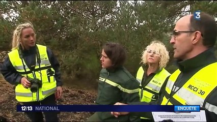 Gard : les pompiers enquêtent pour déterminer l'origine des incendies