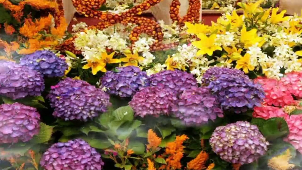 জানি না কত সুন্দর তুমি আল্লাহ! -Bangla Islamic song