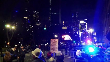 Natalie Merchant at anti Trump March in New York City