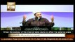 Khutbat Pir Saqib Shami - Topic - Philosophy Of Hajj - Part 2
