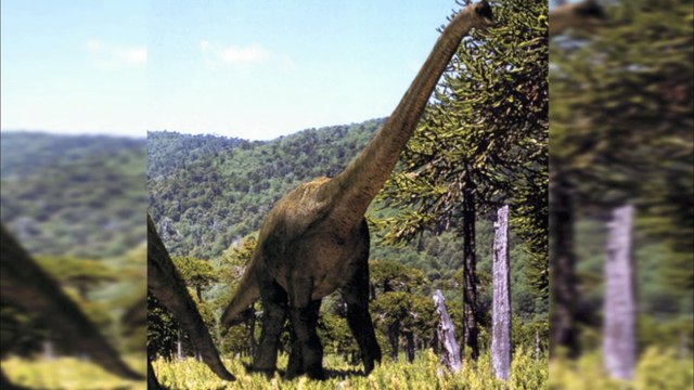 Real Dinosaur Caught On Camera_ + 5 Real Mermaids Caught On Tape