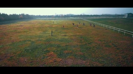 Koray Avcı - Hoş Geldin (Official Video)