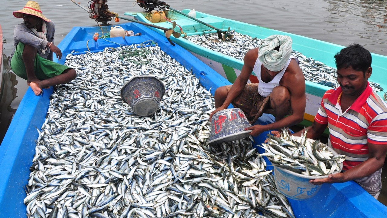 PESCA ARTESANAL TRADICIONAL EN ASIA