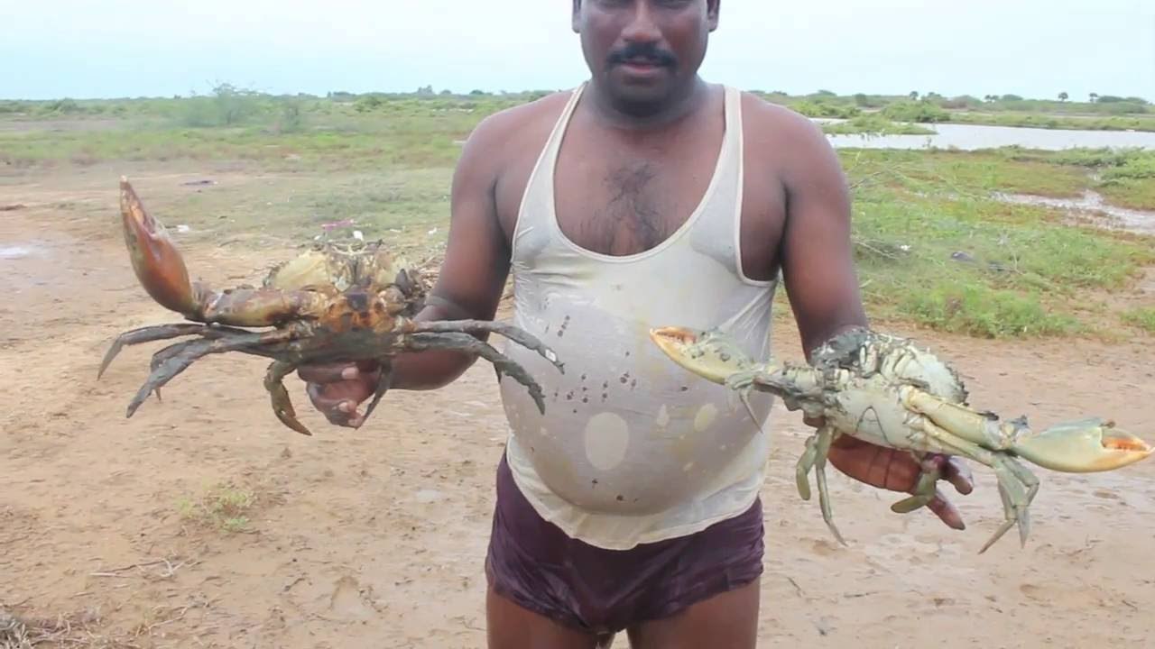 PESCA ARTESANAL DE CANGREJOS EN ASIA