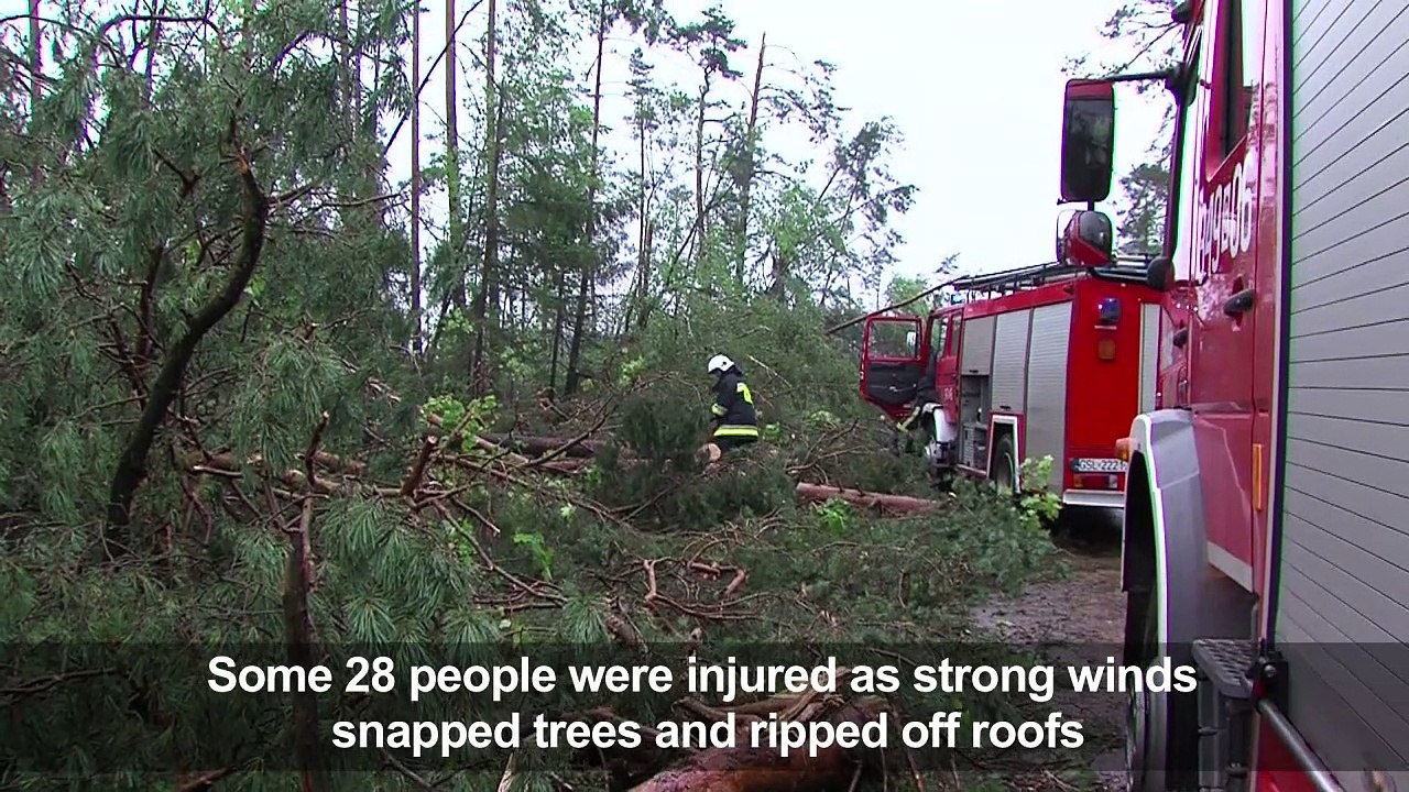 Five dead as freak storms ravage Poland