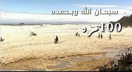 Video herunterladen: من لا يعرف زبد البحر فهذا هو زبد البحر شاهد و قل سبحان الله