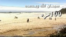 من لا يعرف زبد البحر فهذا هو زبد البحر شاهد و قل سبحان الله