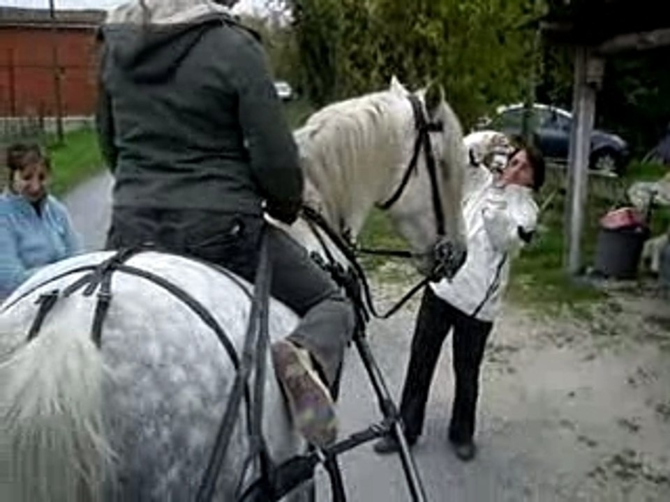 Drole d'attelage