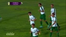 1-0 Yevhen Banada Goa Ukraine  Vyscha Liga - 12.0.2017 PFK Aleksandriya 1-0 Shakhtar Donetsk