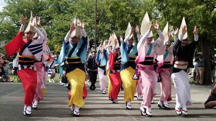 One million dance lovers gather at Japan's 'Awa' festival
