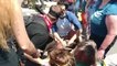 USA: Une voiture fonce dans une manifestation de suprémacistes blancs - Plusieurs blessés