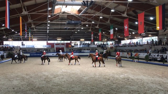 Championnat d'Europe de horse ball, Italie vs Grande-Bretagne