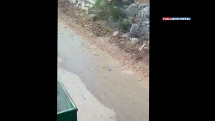 Maltempo, uliveti danneggiati tra Trani e Barletta