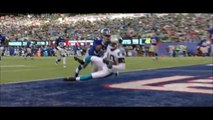 Cam Newton Look At My Dab 2015 16 Panthers Highlights | HD