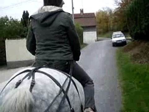 Gringo monté-attelé