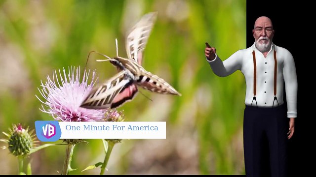 American Values: Our Transgender Government -Video 1 of a series entitled One Minute For America