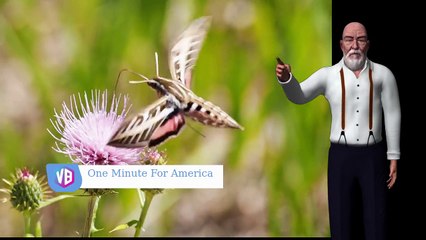 American Values: Our Transgender Government -Video 1 of a series entitled One Minute For America