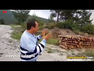 Ayı Gören Adam - Hollywood Dublaj