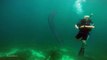phát hiện “quái vật ngoài hành tinh” dài 20m dưới biển sâu