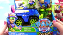Huge Surprise Toy Blind Box Show: Paw Patrol, Trolls, Moana, Dory, Princess and PJ Masks