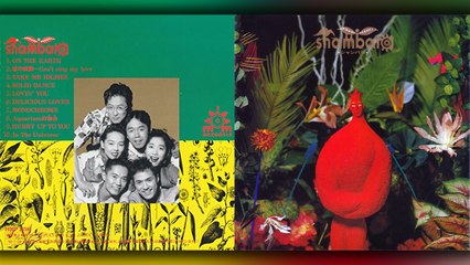 Shambara - 1989 - Shambara [full album]