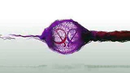 Iss Pyaar Ko Kya Naam Doon 3 Chandni And Indrani Real Life Love 13th August 2017