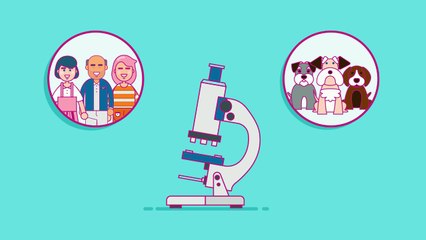 Awesome CBD - Animated Explainer Video