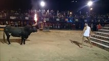 Worlds Most Dumb Guy Hit By Bull