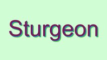 How to Pronounce Sturgeon