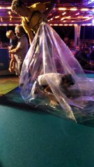 vacances la Rochelle 2   (août 2016)