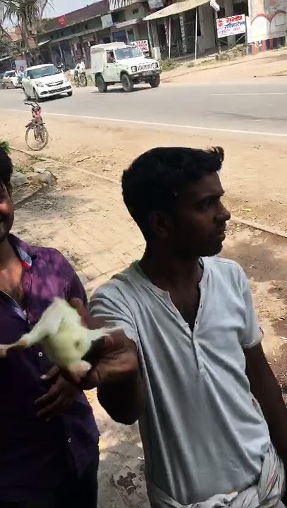 fuuny chicken sale man