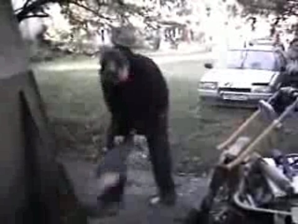 Papaours skate