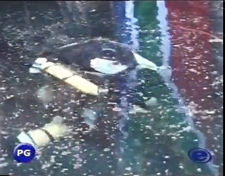 scuba, cave diving The Big Black The last dive of David Shaw 21 43, XviD format