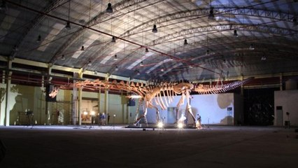 Dünyanın En Büyük Dinozoru Keşfedildi