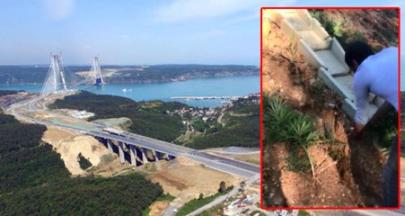 Yavuz Sultan Selim Köprüsü Bağlantı Yolu Kenarında 40 Kök Hint Keneviri Ele Geçirildi