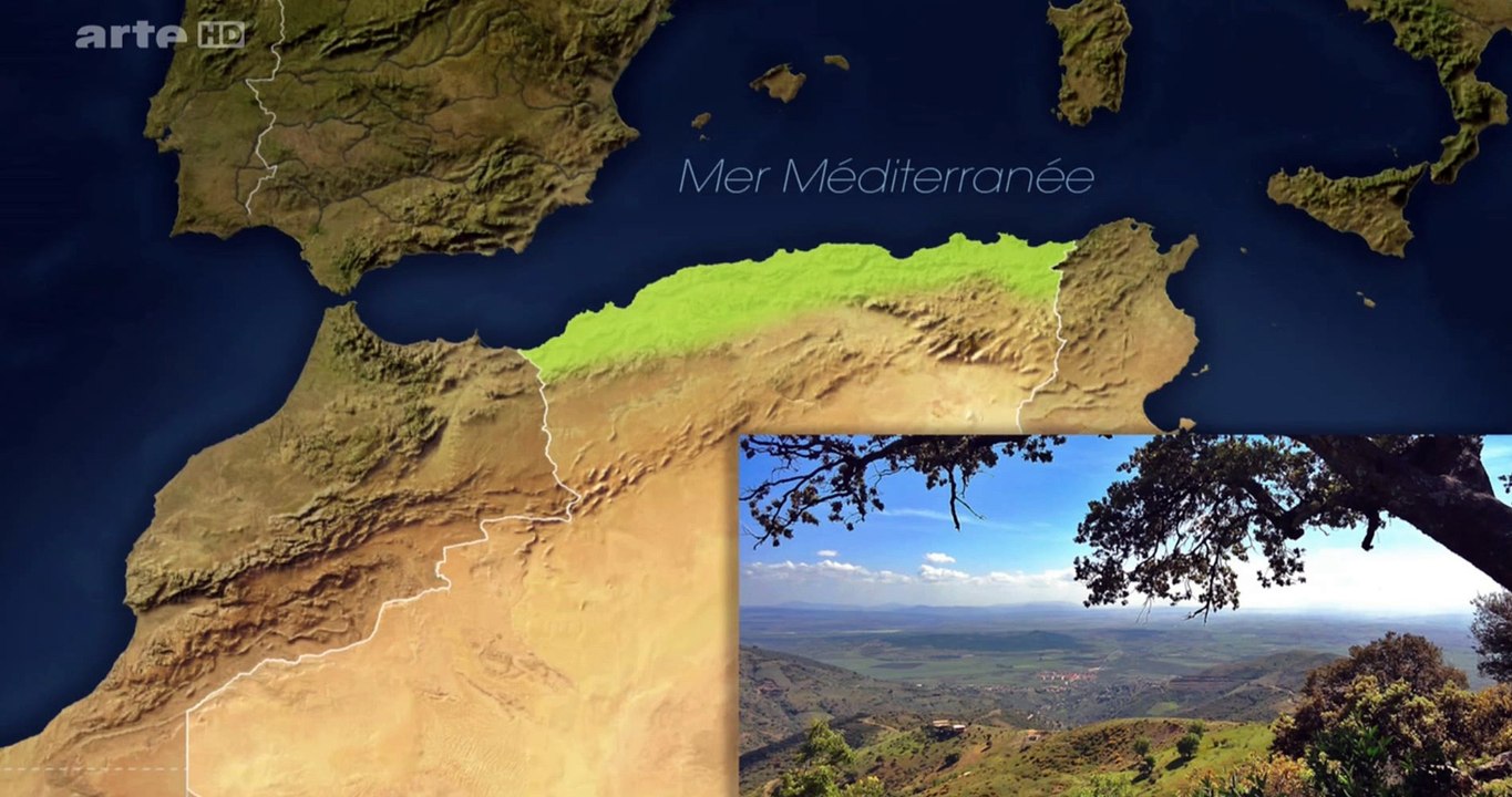 Africa Algerien DOKU HD Deutsch