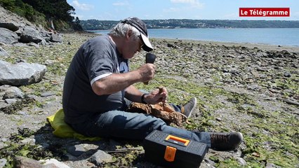 Brest. Gérard Philippot, graveur nature