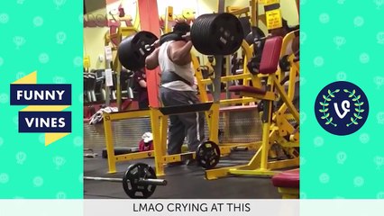 Funniest Viral Videos Fails Compilation 2017 _ Funny Vine