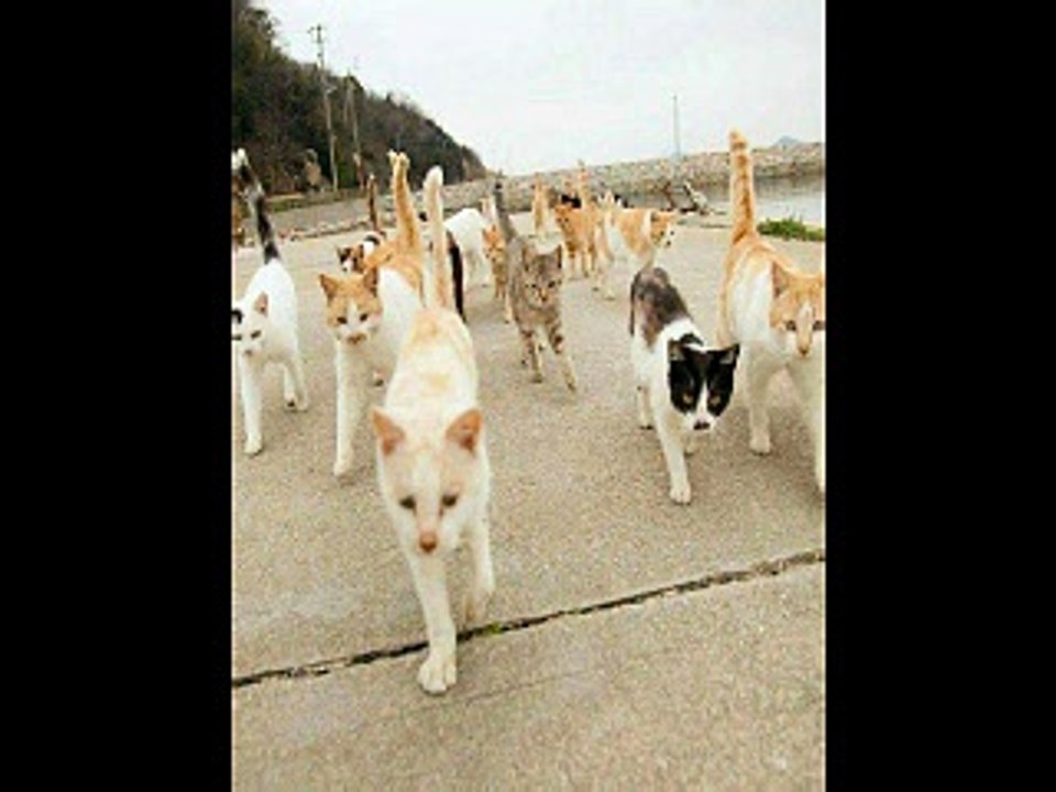 守りたい
