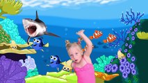 Çocuklar İçin Bebek Shark Song Çocuklara Eğitim Video Bebek Hemşirelikleri Rhymes / Baby Shark Dance
