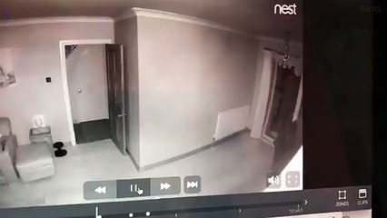 Somerset family watch burglar raiding their house on app  Daily Mail Online 2