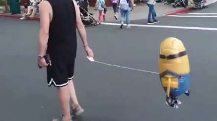 If You Don't Have A Dog, Just Walk A Minion!