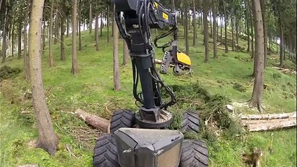 Amazing Modern Mega Machines Unusual Woodwork Sawmill Wood Timber Tractor Cleaver Saw CNC (9)