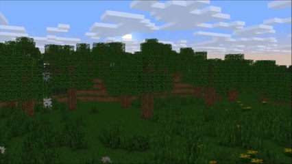 Wolf Life  - The poor wolf | Minecraft Animation