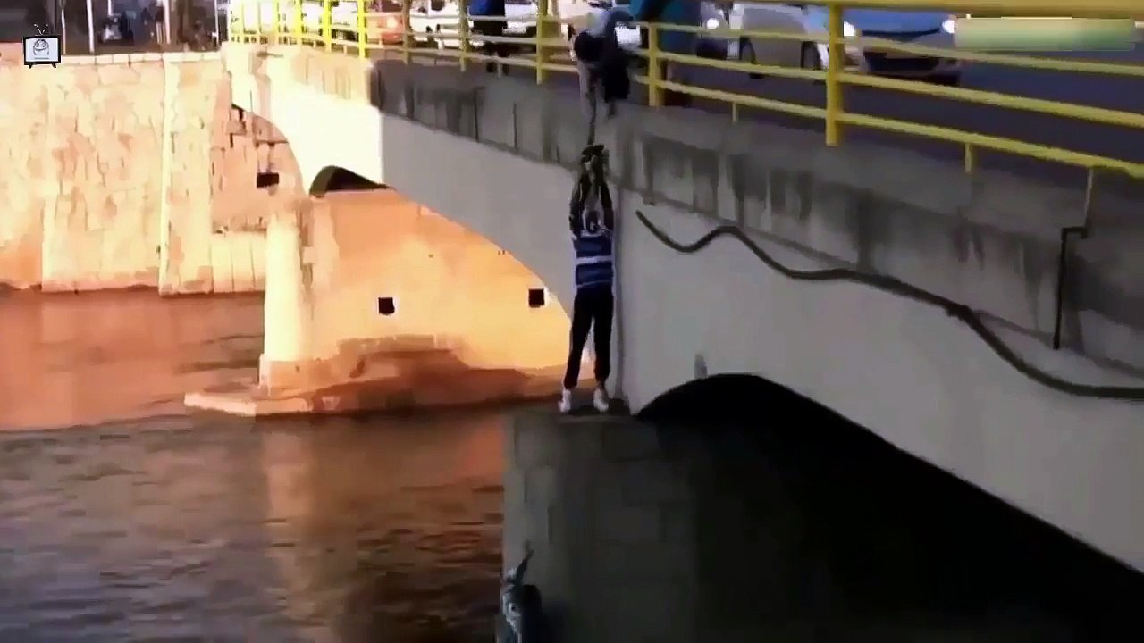 Real Compilations ★ When People Help Animals