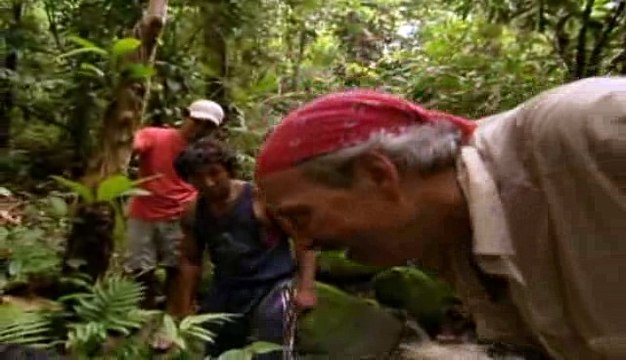 Documental - Insectos Mortales