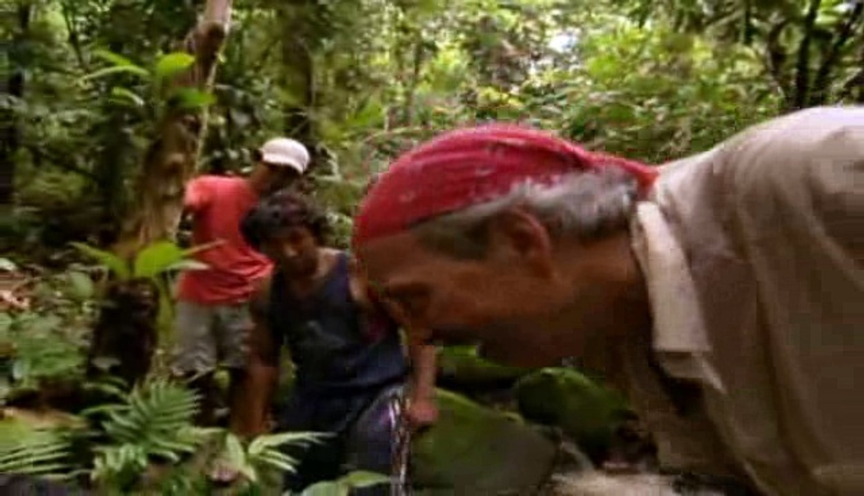 Documental - Insectos Mortales