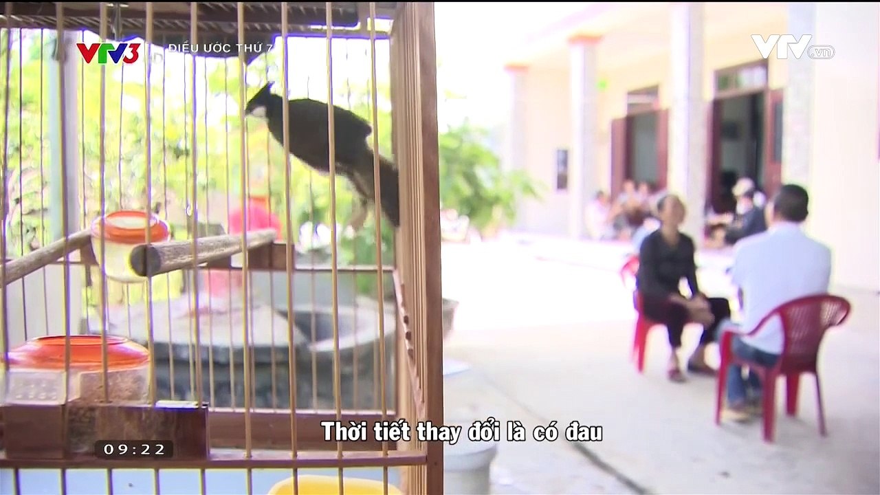 Điều ước thứ 7 - Ngày 12/8/2017